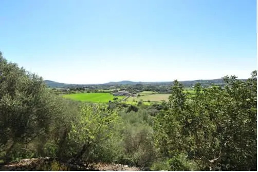 Finca Puig Nou
