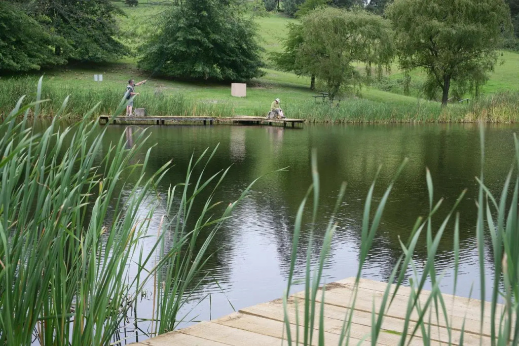 First Group Midlands Saddle and Trout