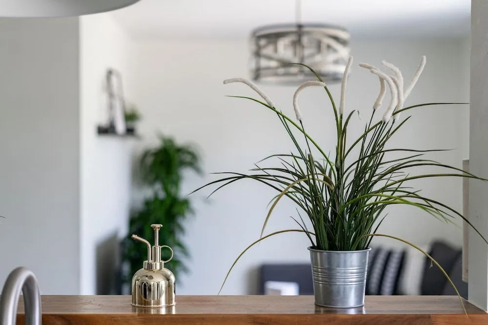 Jungle House Modern Lofts - Arena District & Short North