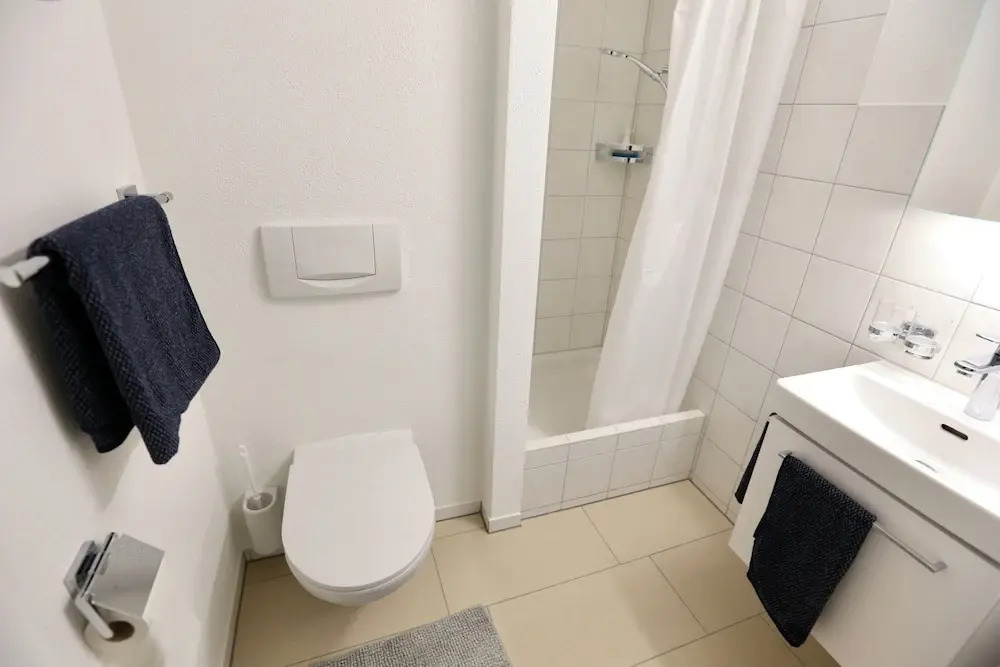 ALP APARTMENTS centre location with traditional design and self check-in