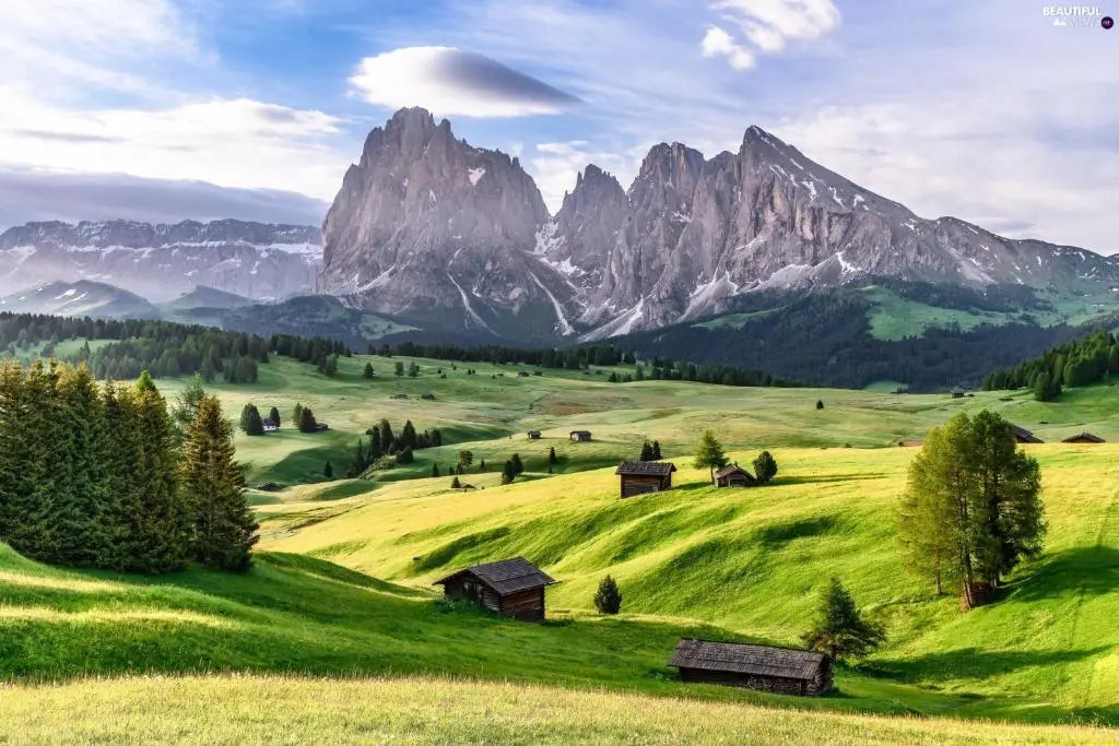 Hotel COSMEA - Your Dolomites & Honeymoon experience