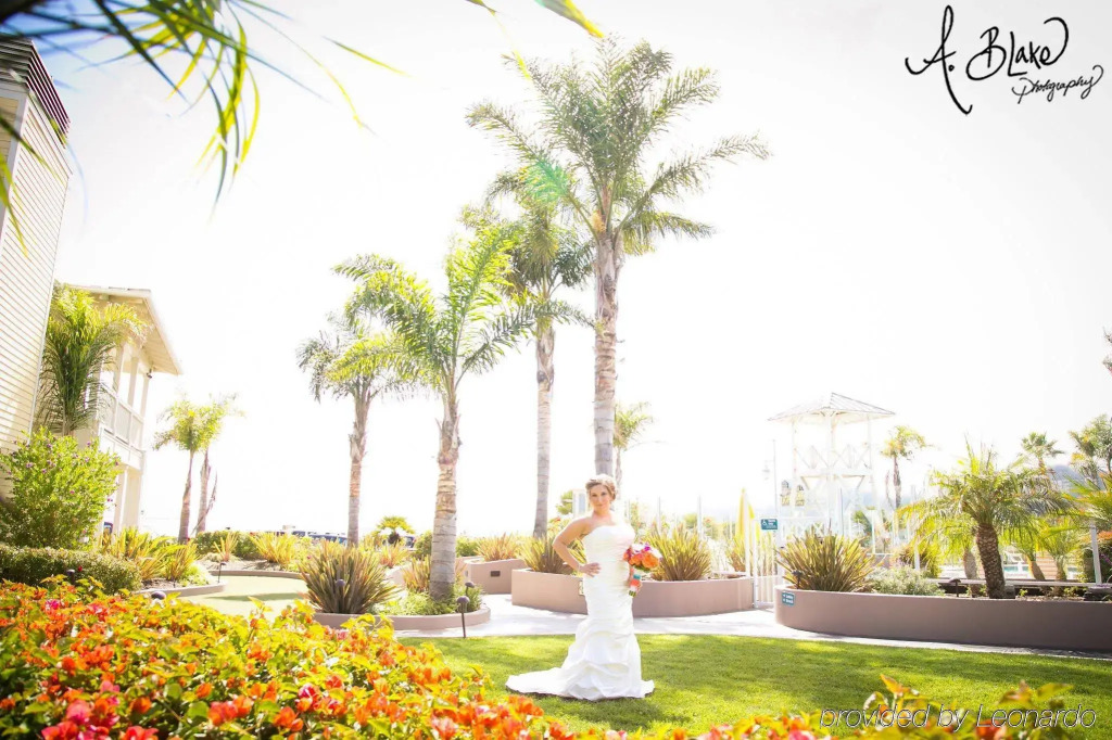 Avila Lighthouse Suites