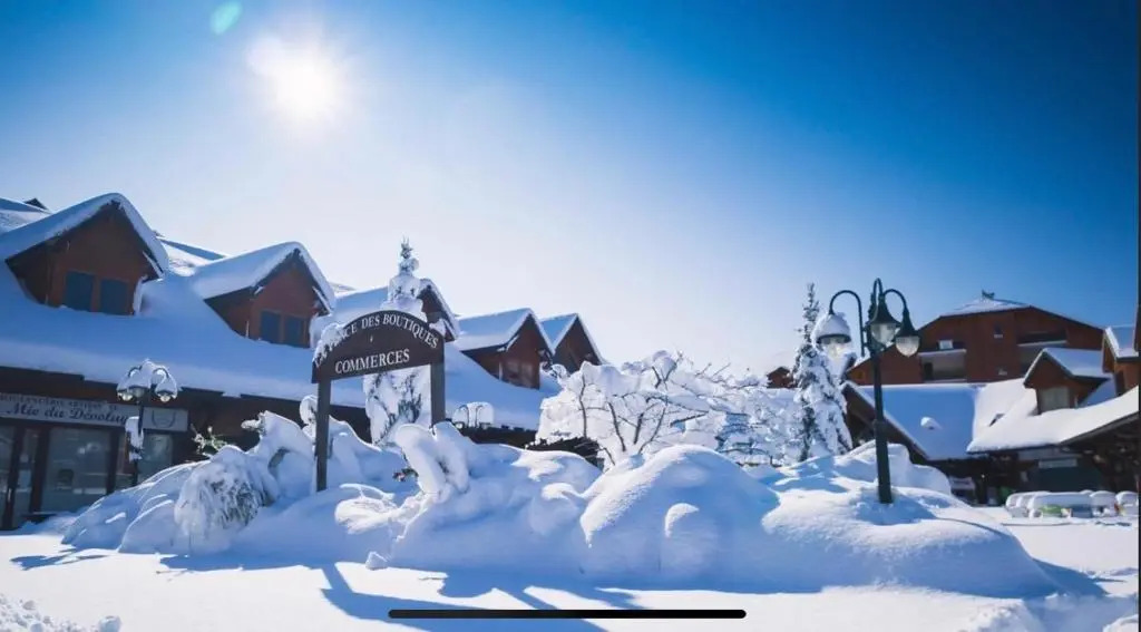 Chalet le Lagopede