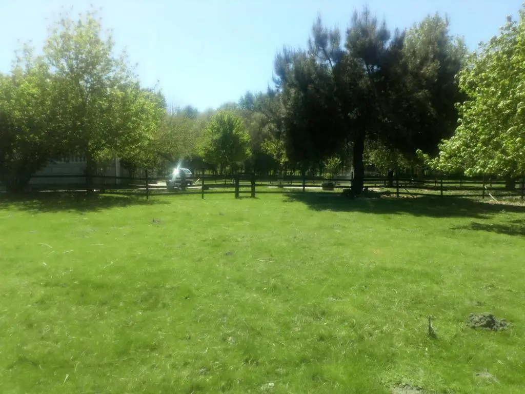 Finca O Fontao