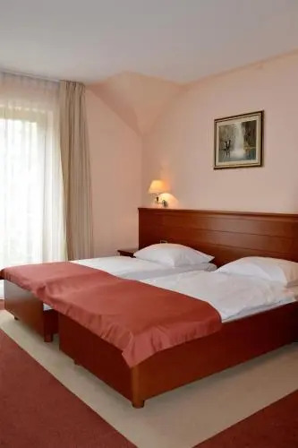 Hotel Mladimir