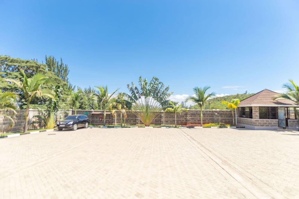 Rock Hyrax Hotel