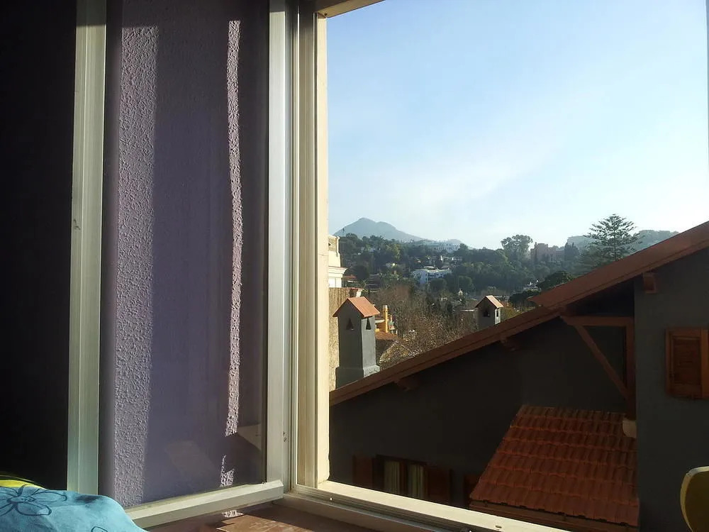 Terraza del Limonar