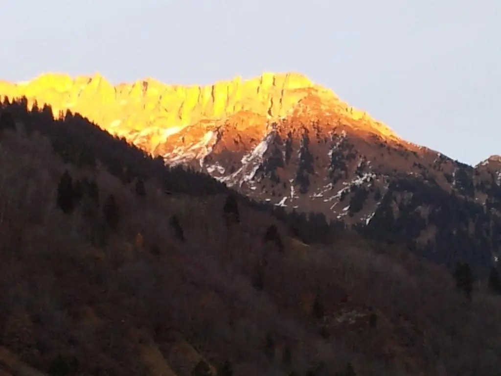 Haus Fasortis