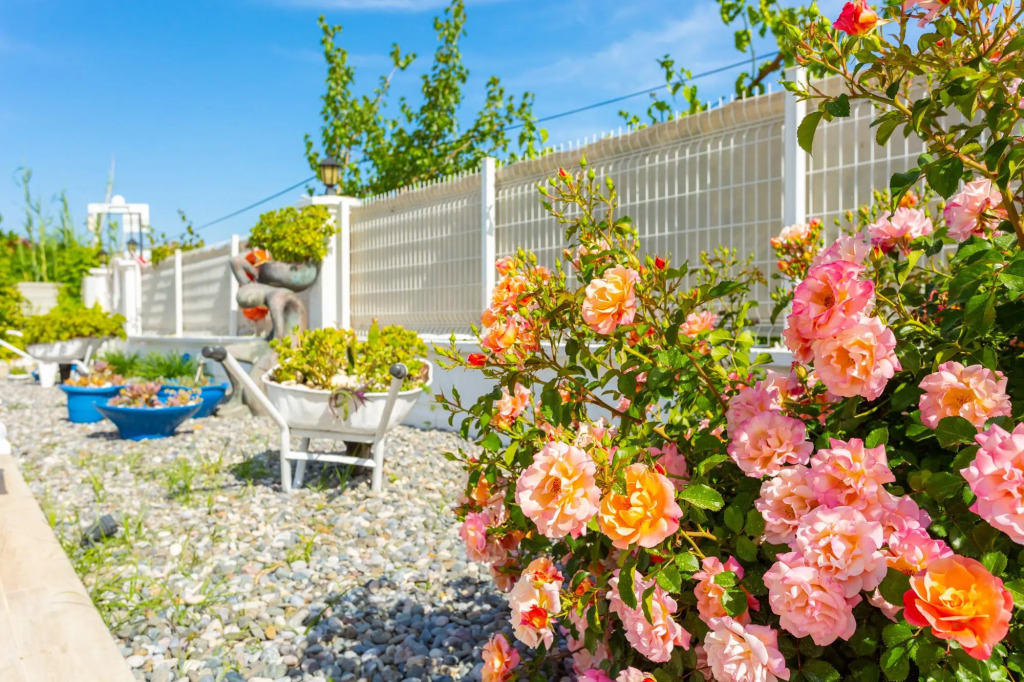Villa Mina Large Private Pool A C Wifi Car Not Required Eco-friendly - 2834