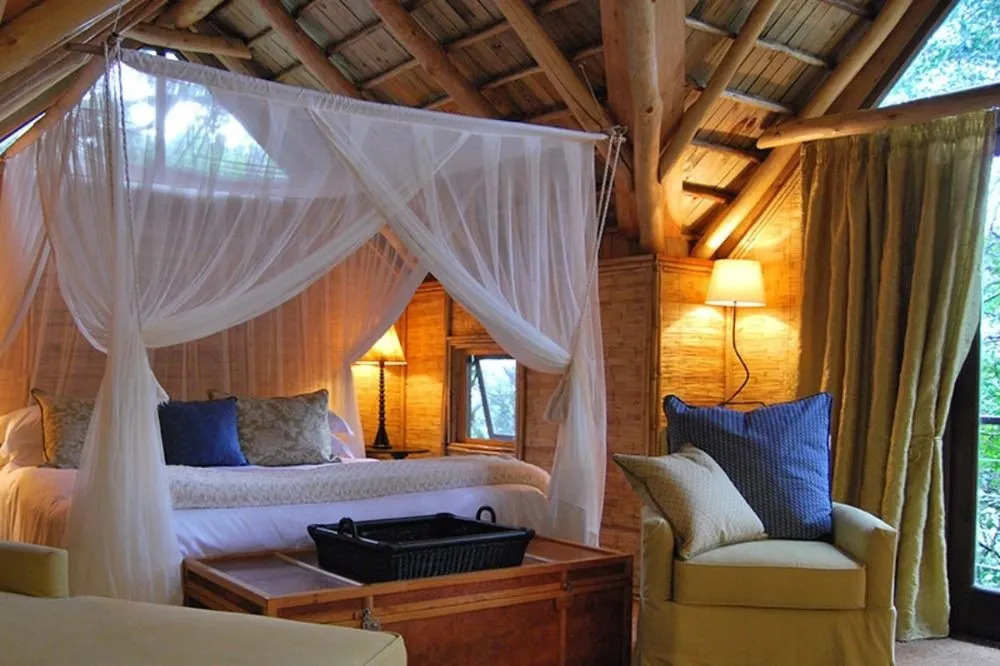 Phantom Forest Eco Reserve