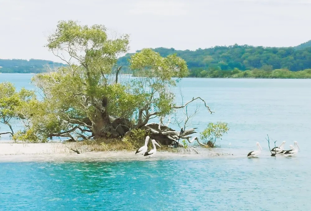 Coomera Houseboats