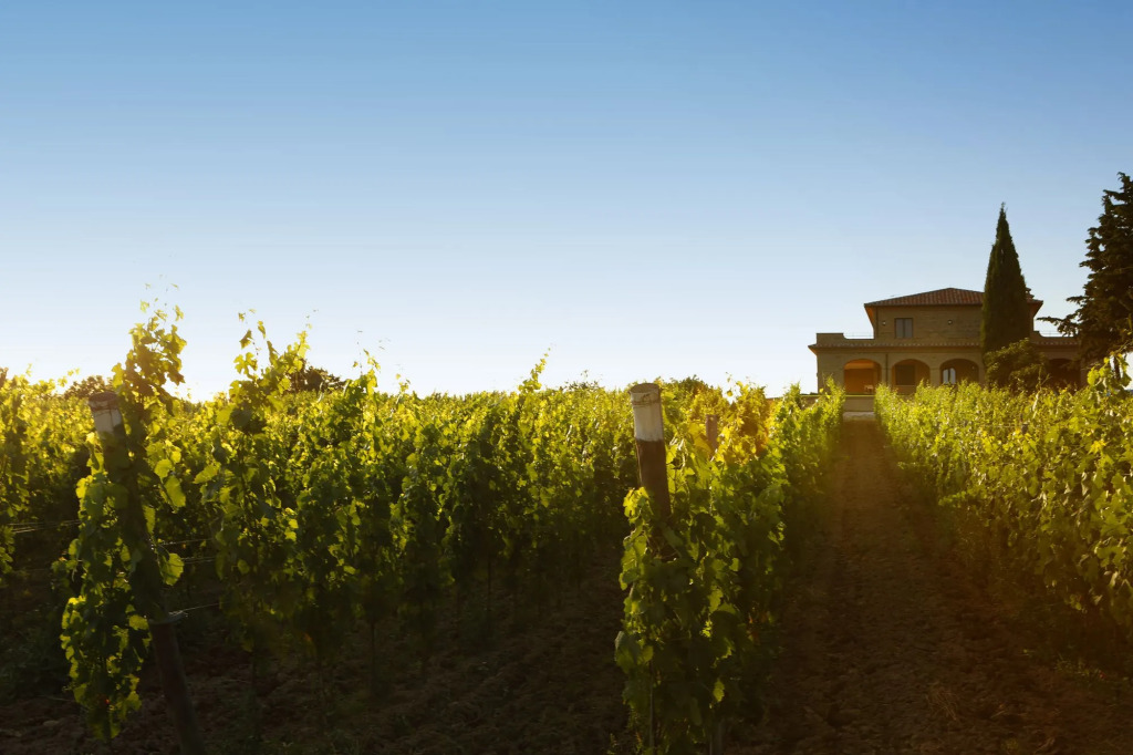 Agriturismo Poggio Al Tufo