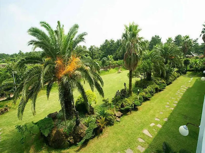 Hyeopjaewon Pension