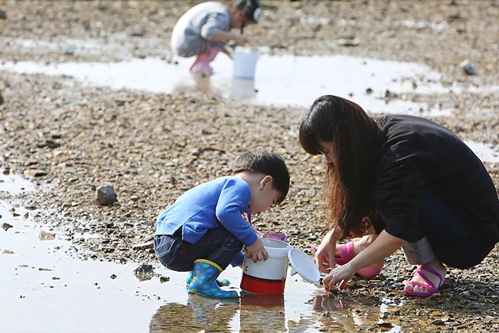 Taean The Day Pension