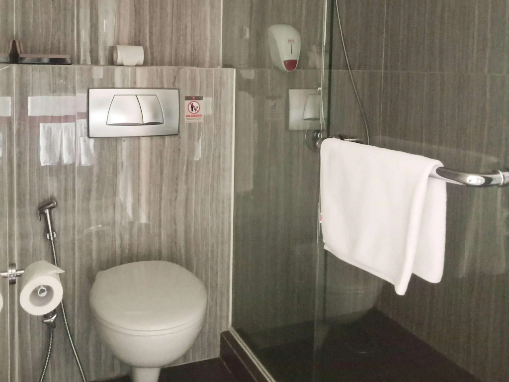 Ibis Padang