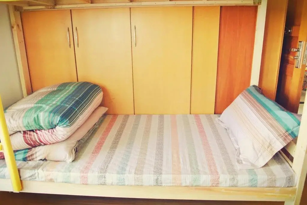 Xi'an Lefu Youth Hostel
