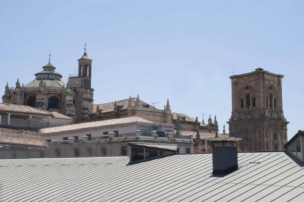 Apartamentos Catedral Plaza