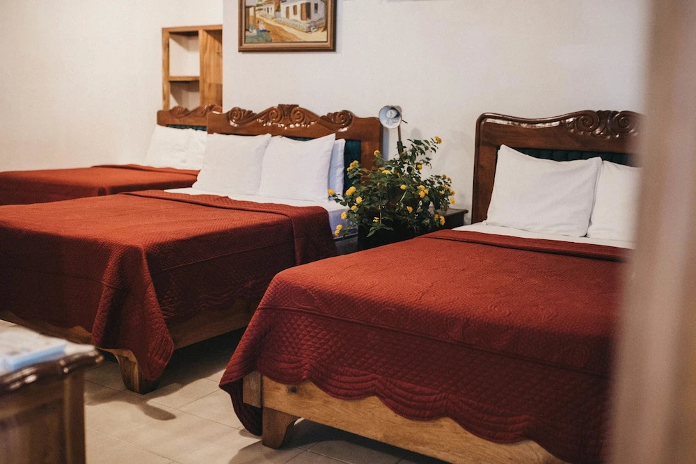 Hotel Javy
