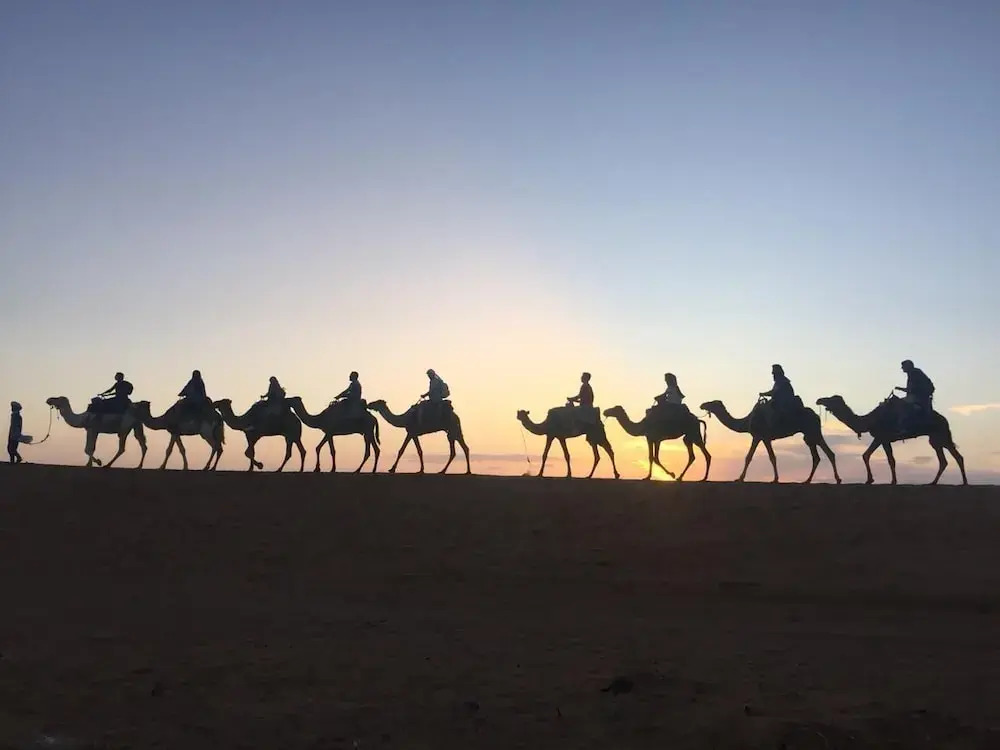 Desert Queen Camp