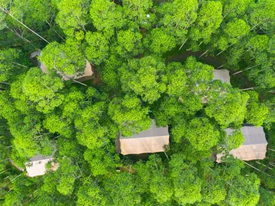 Guangzhou North Trail Camping Camp No. 1