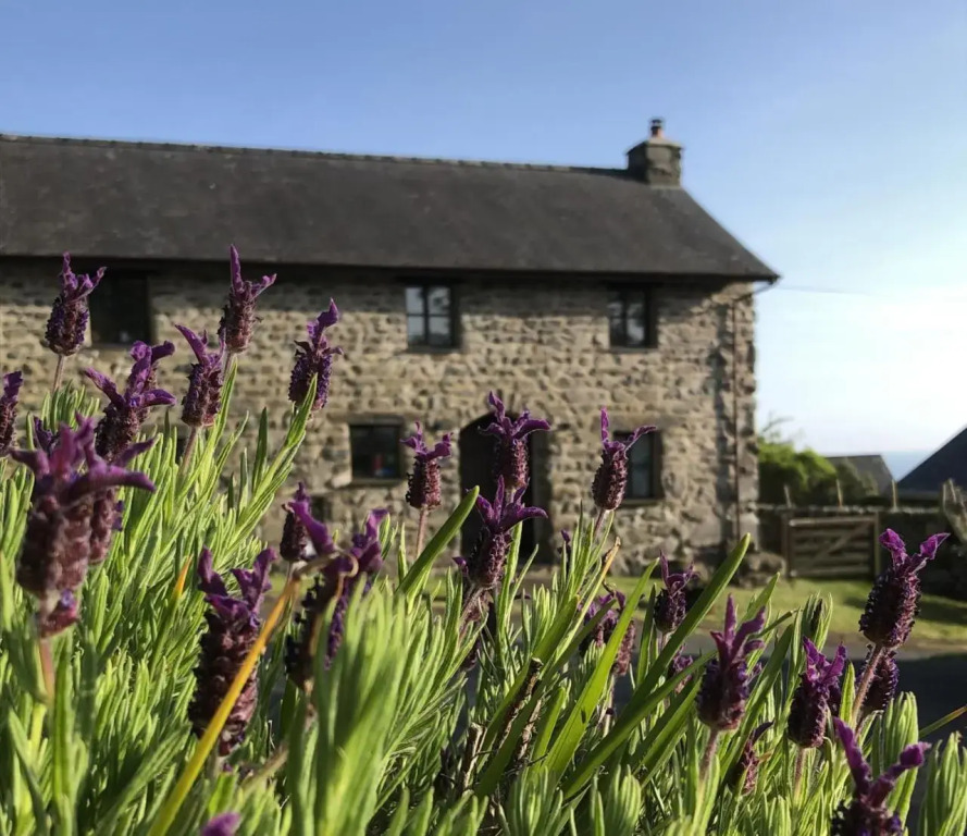 The Old Farmhouse B&B