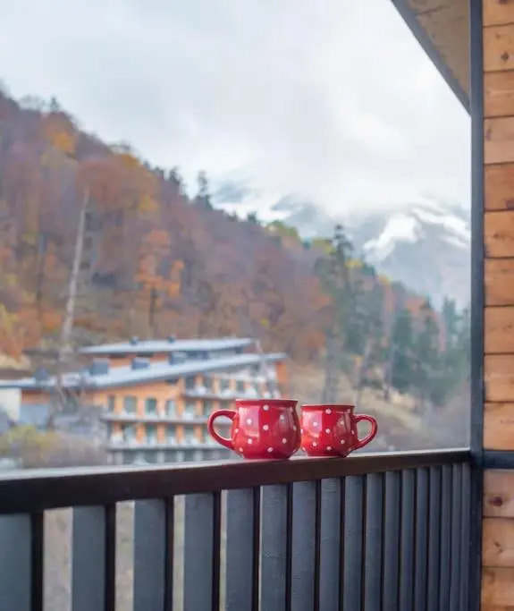 Cozy Studio In Bakuriani / Near Ski Area Didveli