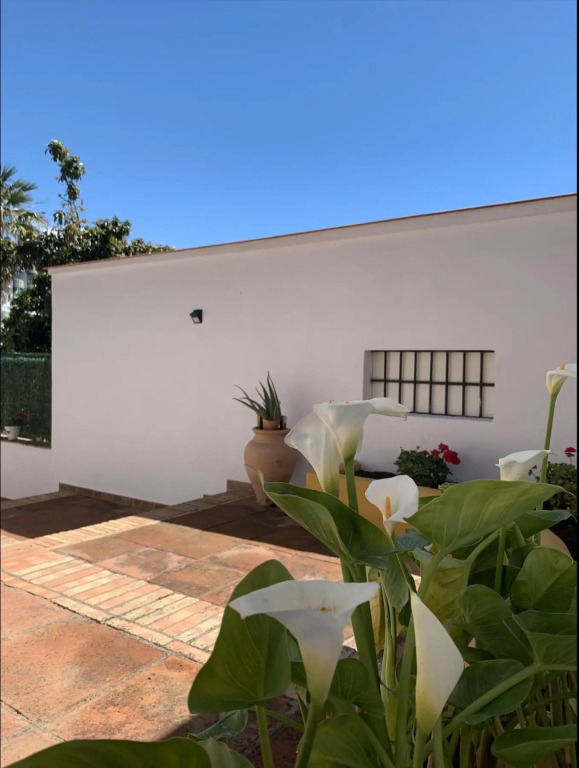 Novedad Suite Céntrico con Porche y Jardín