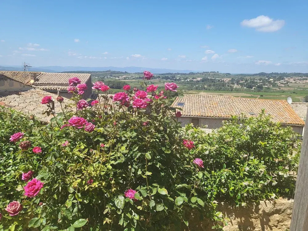 La rose du vent