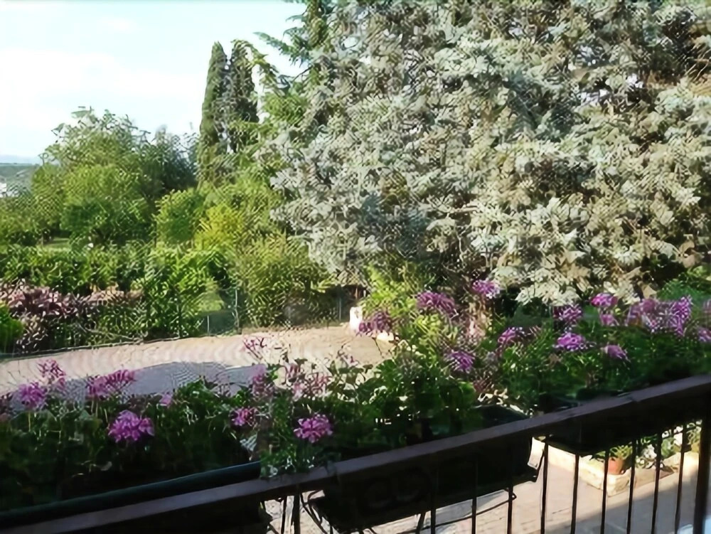 Ai Due Pini B&B
