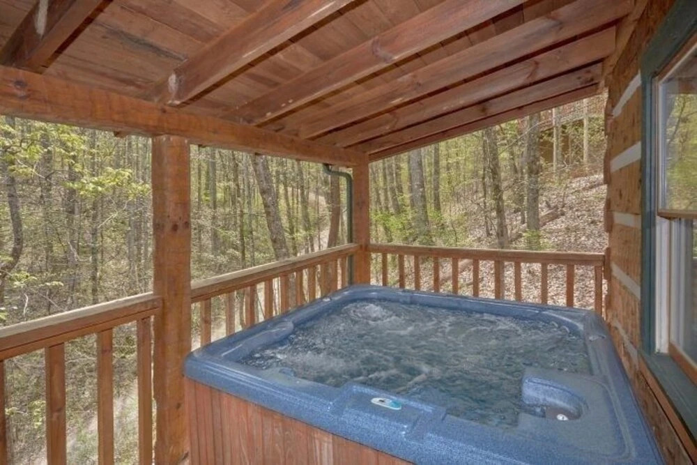 Black Bear Lodge 4 Bedroom Cabin