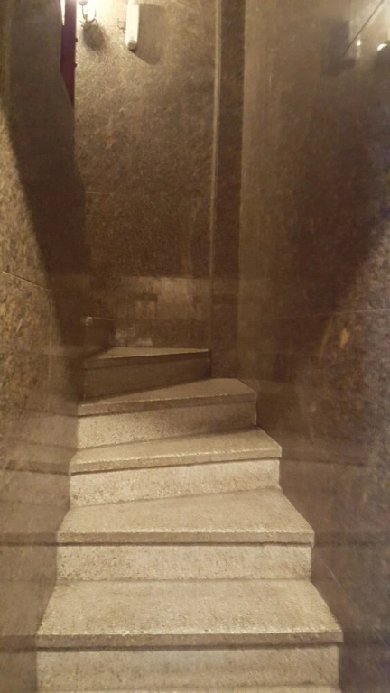 Zaphir