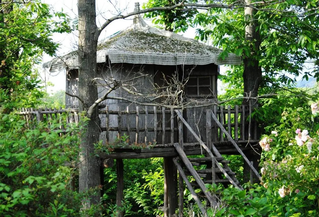 La Casa Degli Elfi