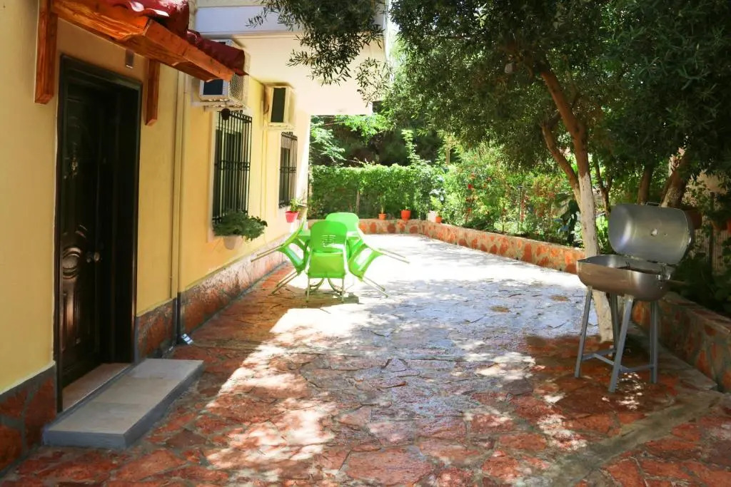 Olive Tree