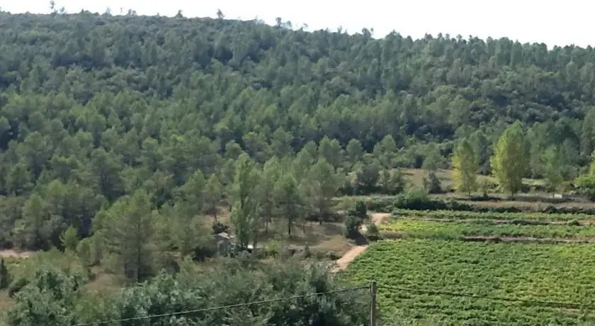 Le Petit Forage