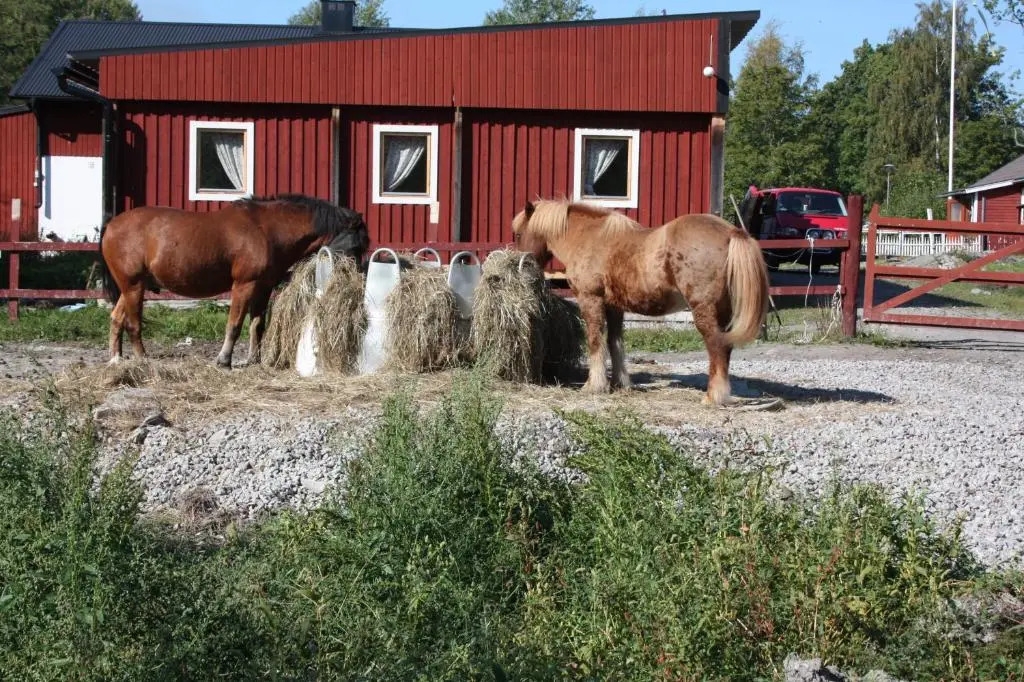 Haga gård och Stall