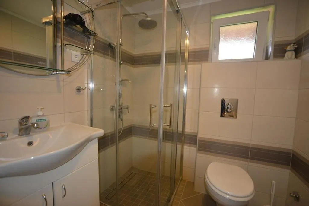 Apartment Vihor