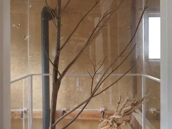 Xiaoyin Fanghua Guesthouse