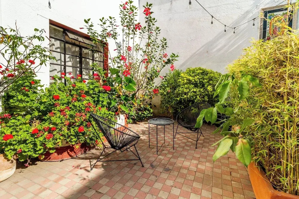 Flat in Colonia Americana with 1 Bedroom