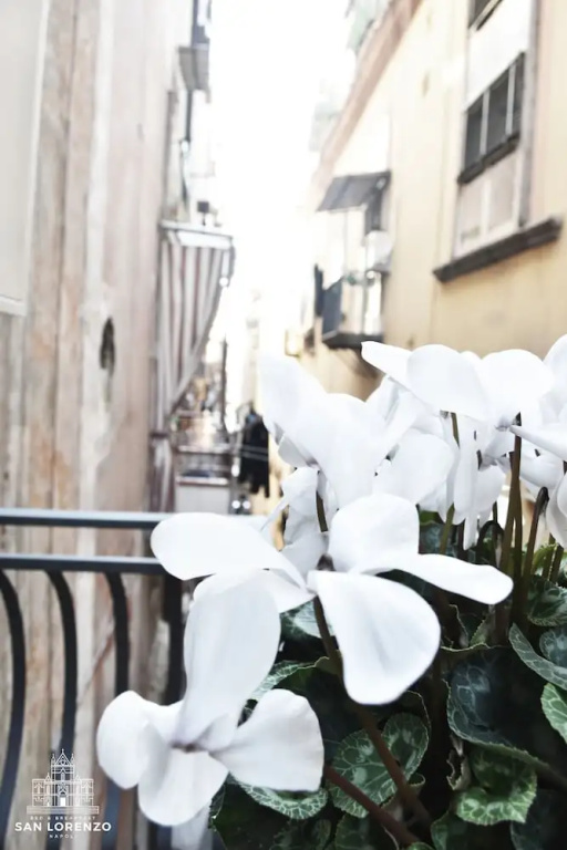 San Lorenzos home