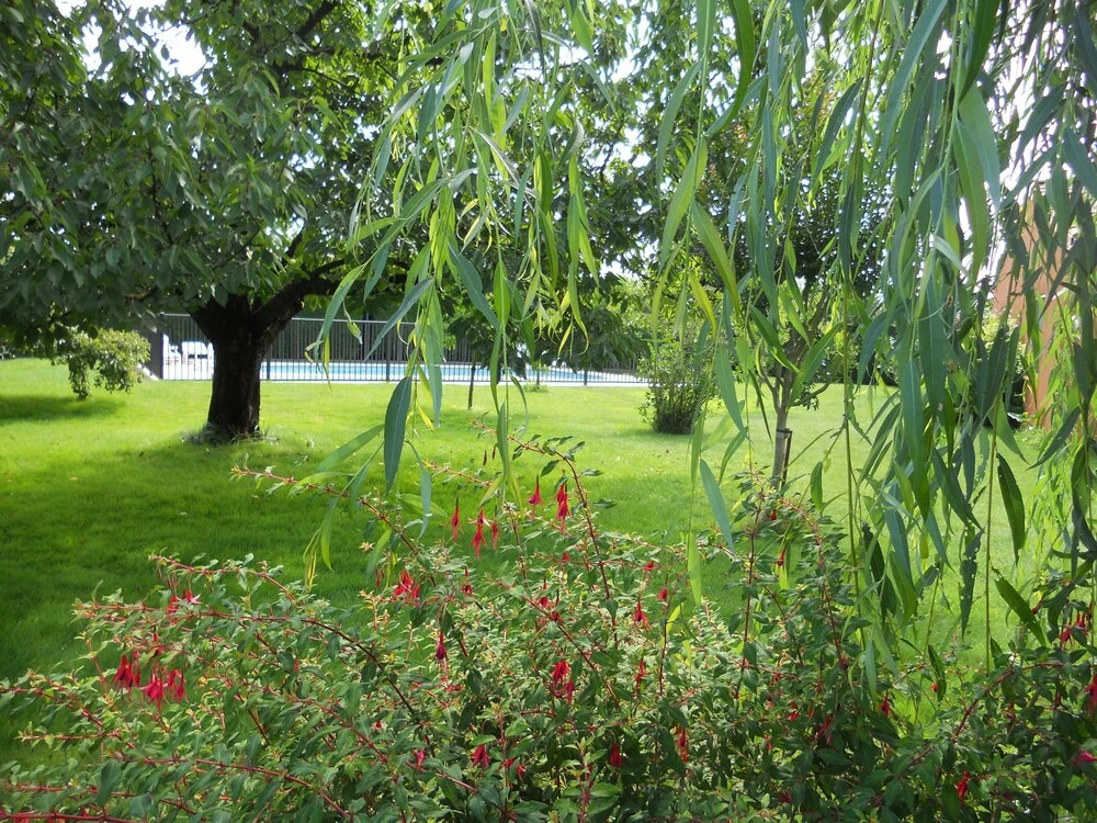 Au Paradis Vert