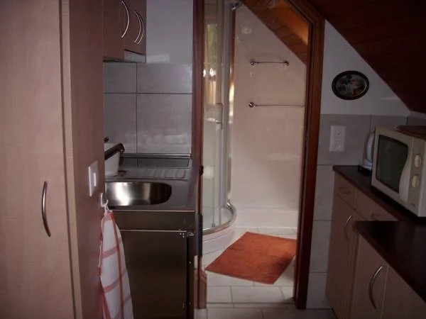 B&B Euler