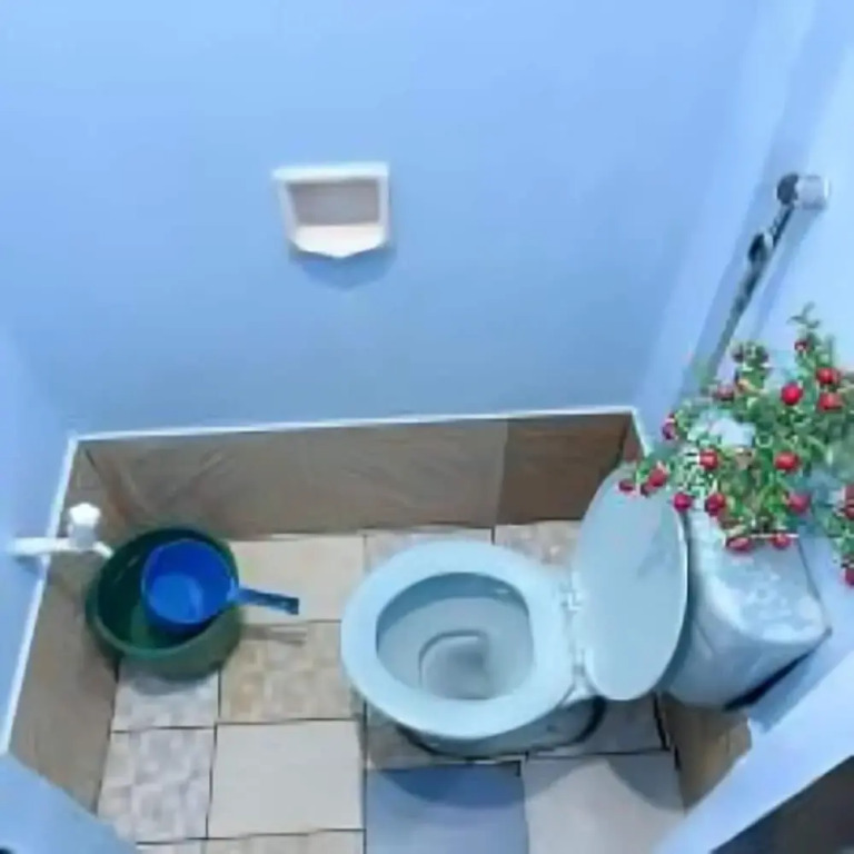 Moonlight Homestay