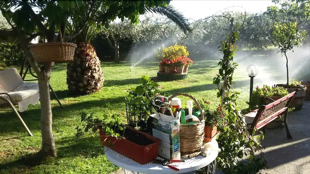 B&B LAlbero Di Antonia