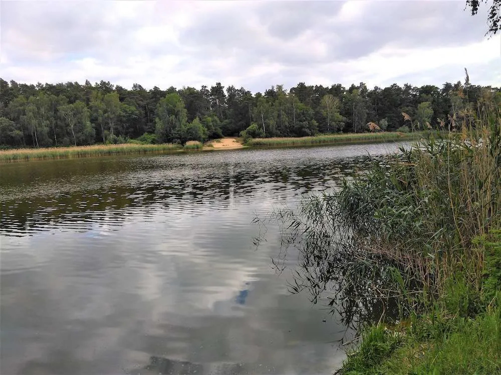Spacious Holiday Home in Sommerfeld near Lake
