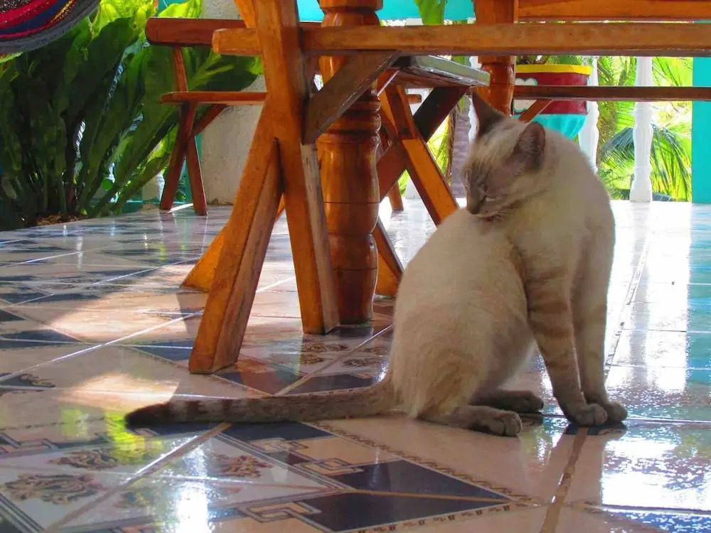 Charming and Affordable Casita in Atami, El Salvador