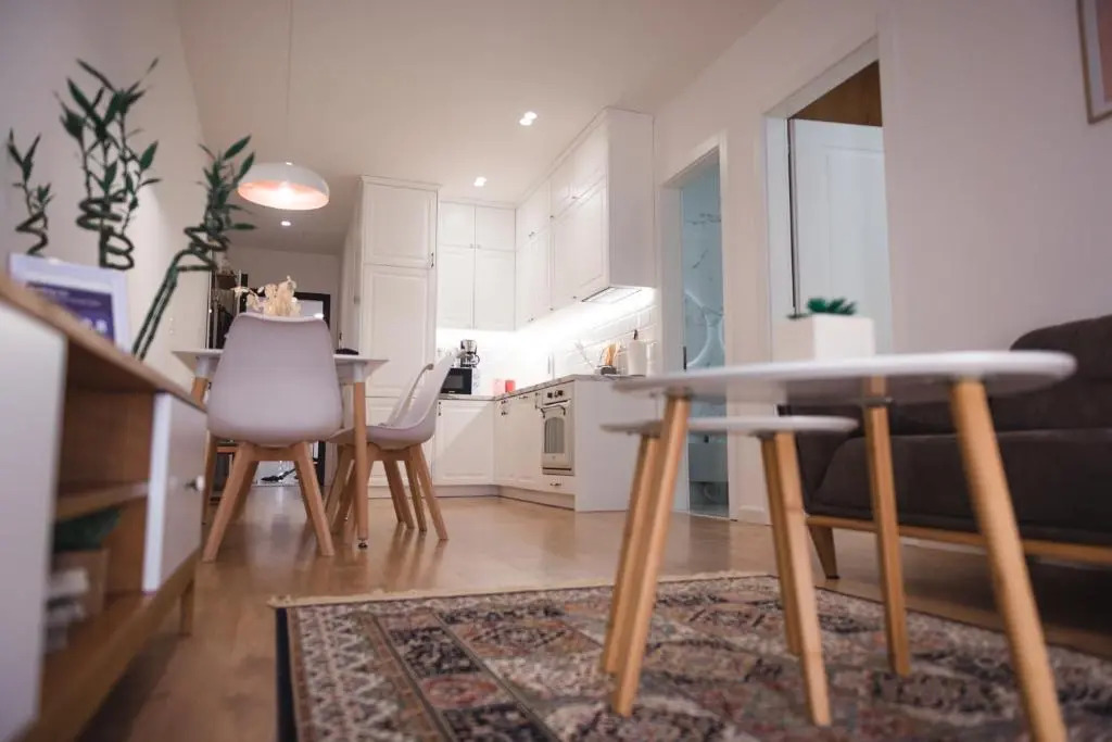TAM Luxury Tirana Center Apartment No4
