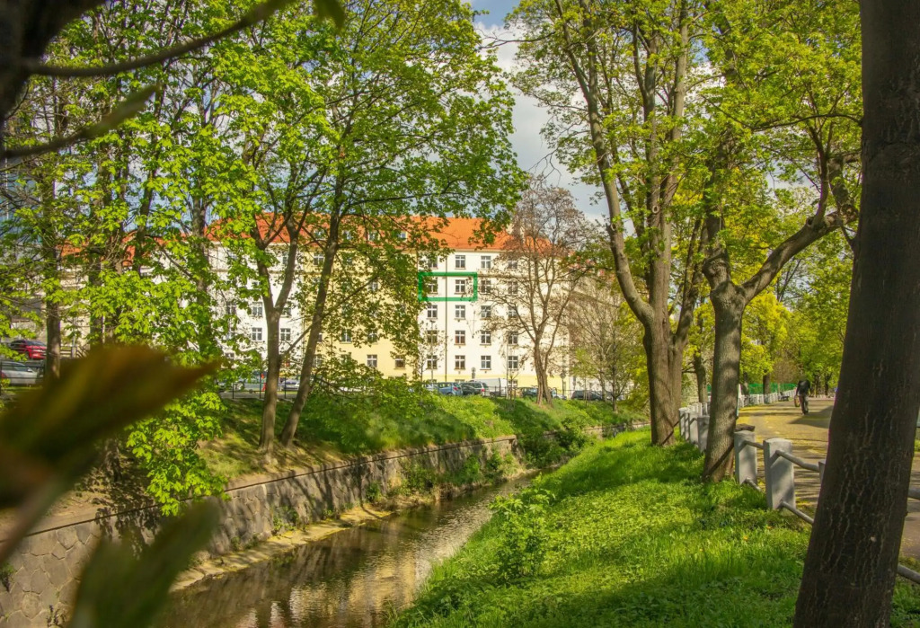 Double King Size Sunny Suite In Castle Area