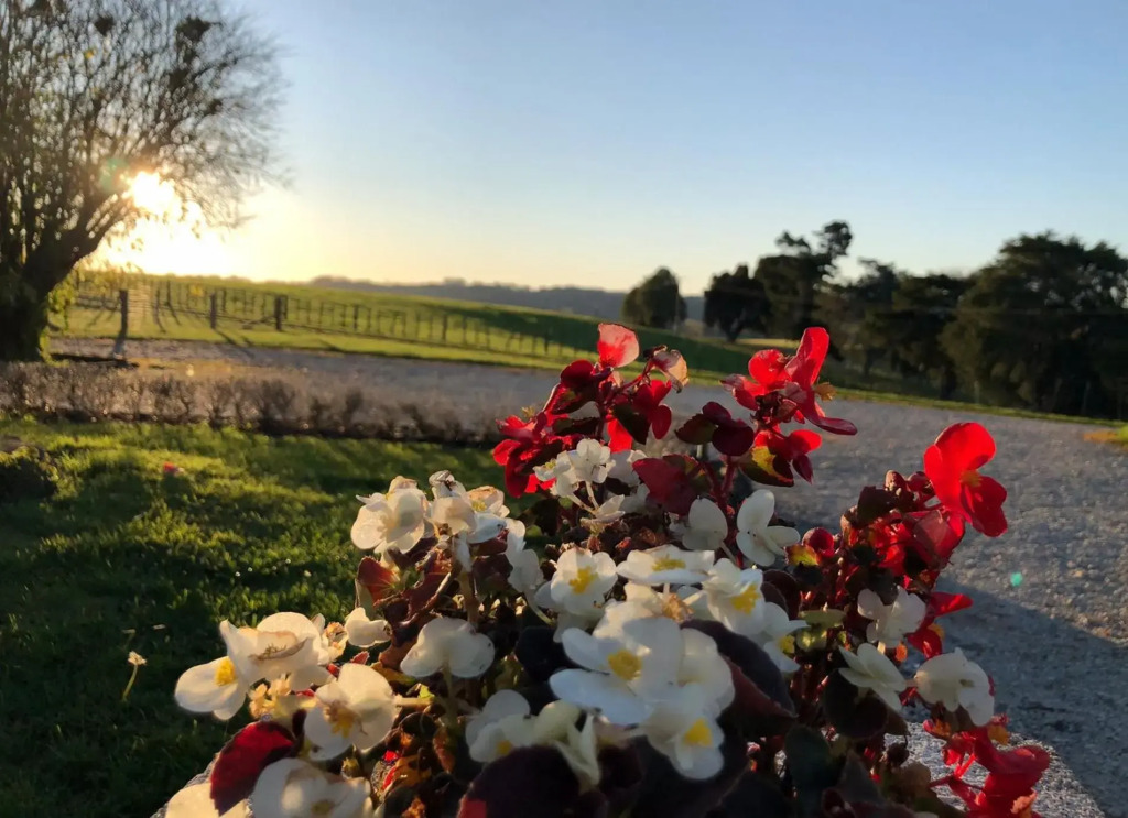 Waitomo Golf Ridge