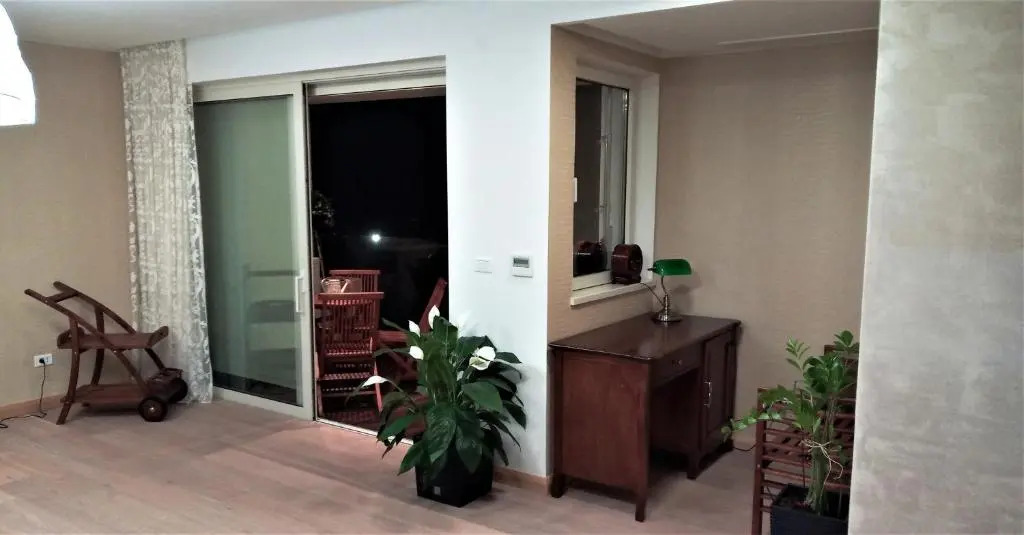 Anthurium Lux Apartment