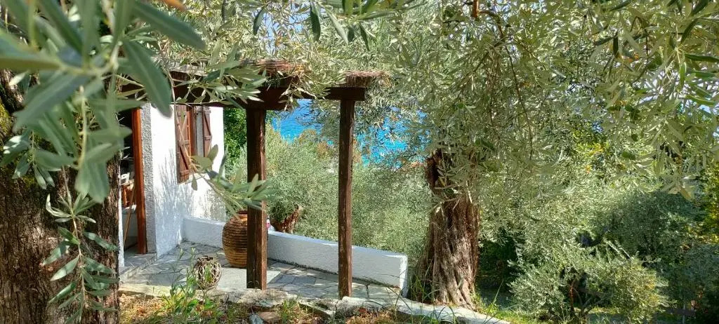 Aristi's Houses